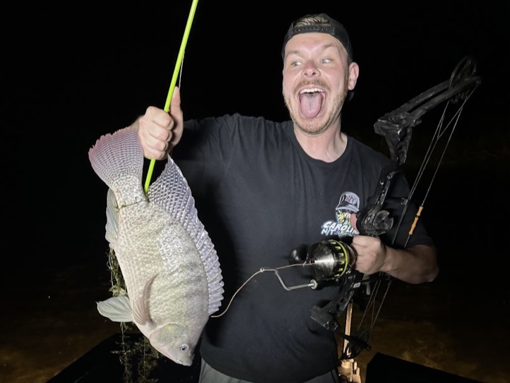 Tilapia