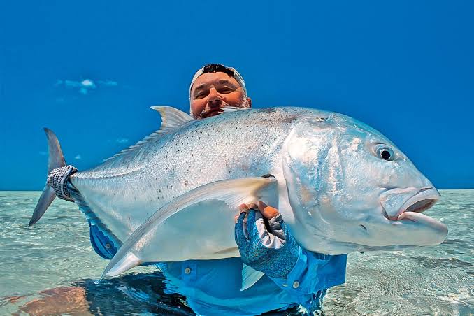 Trevally