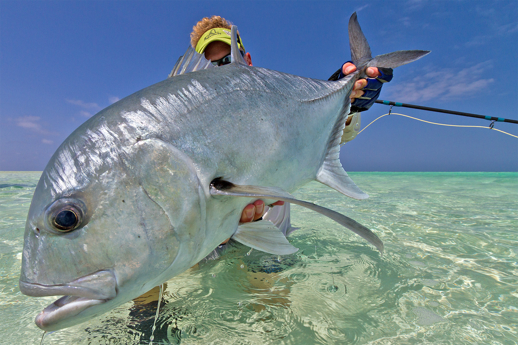 Trevally