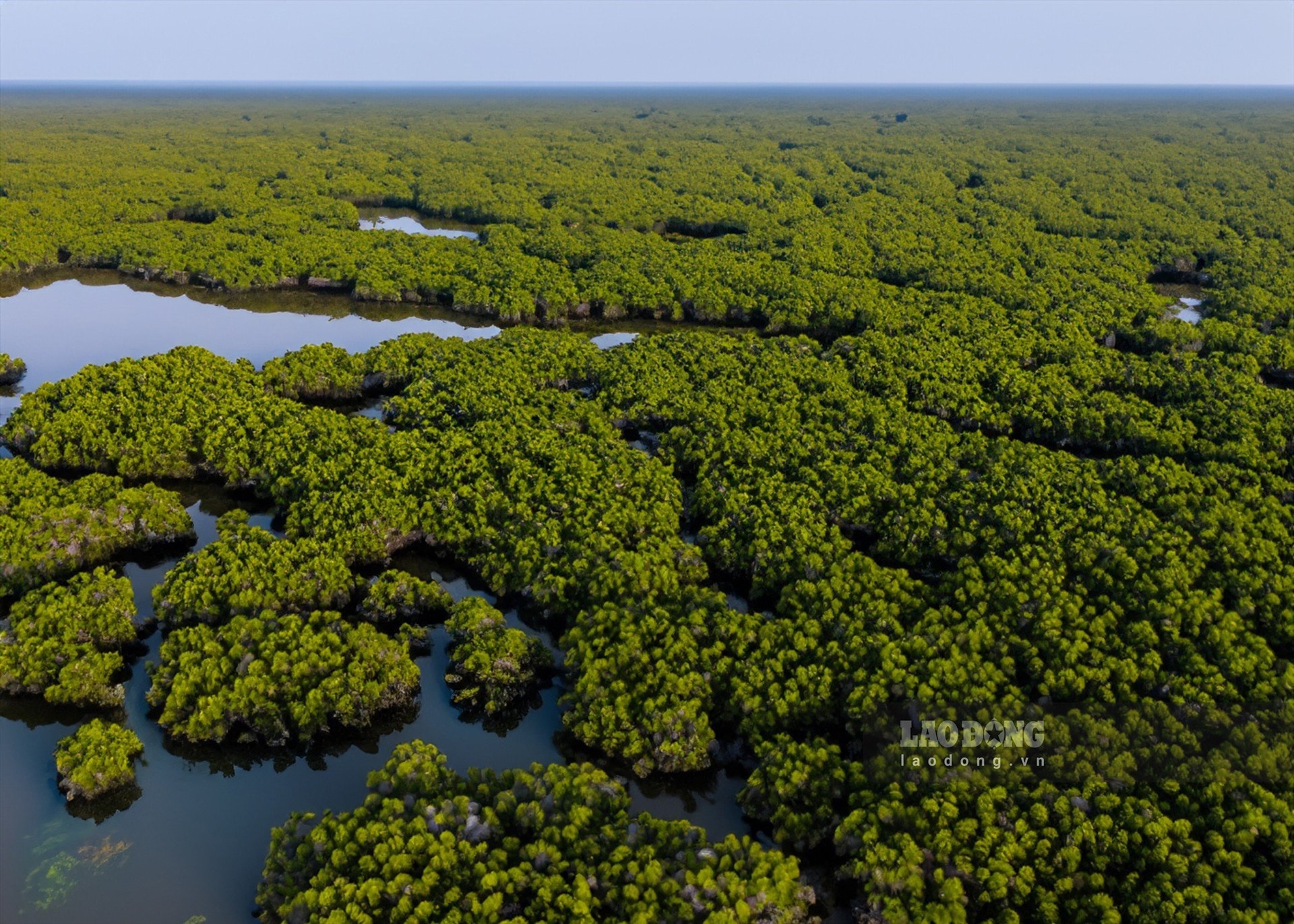 Xuan Thuy National Park, Nam Dinh Province