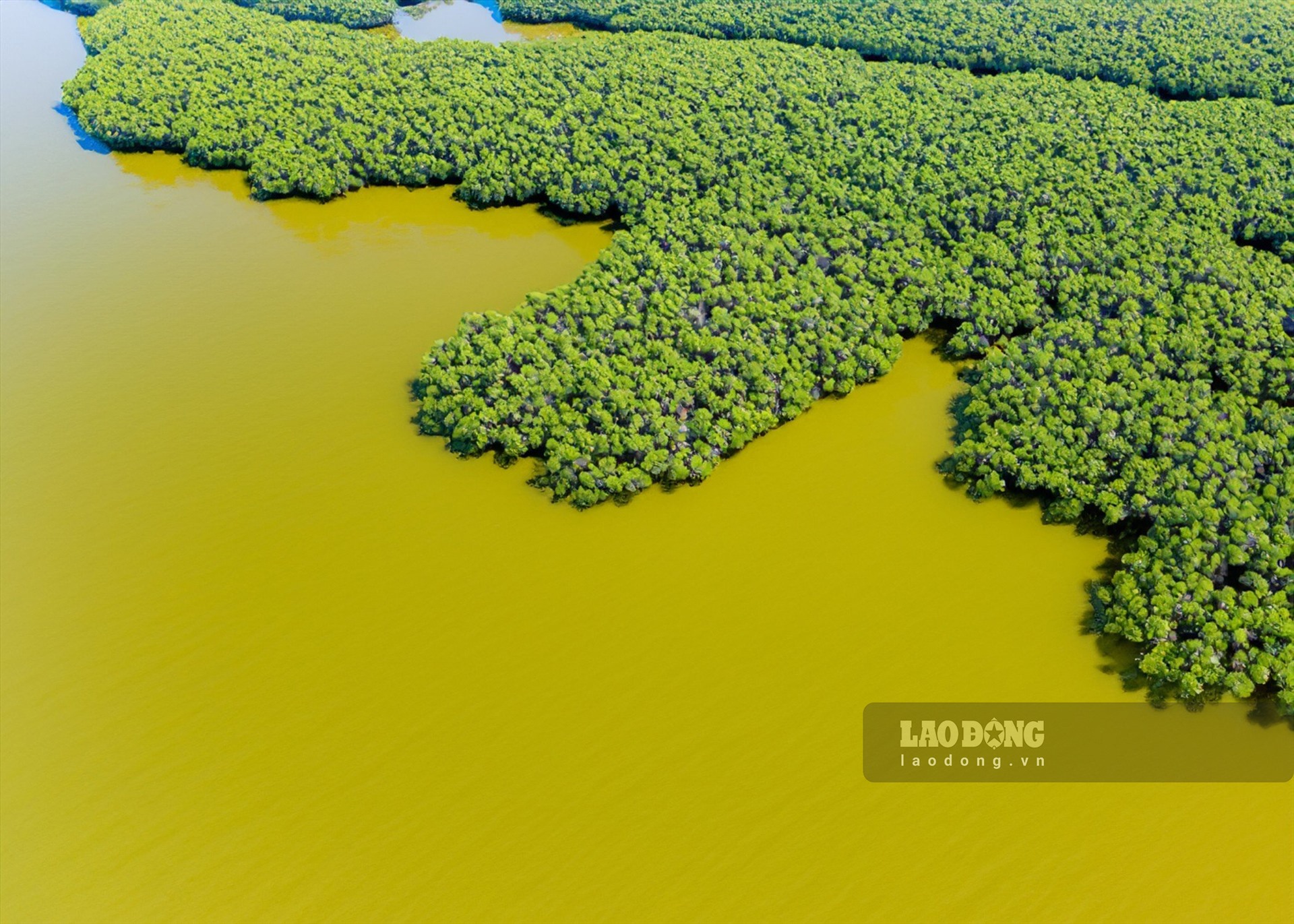 Xuyên Thủy Ramsar Wetland Reservation