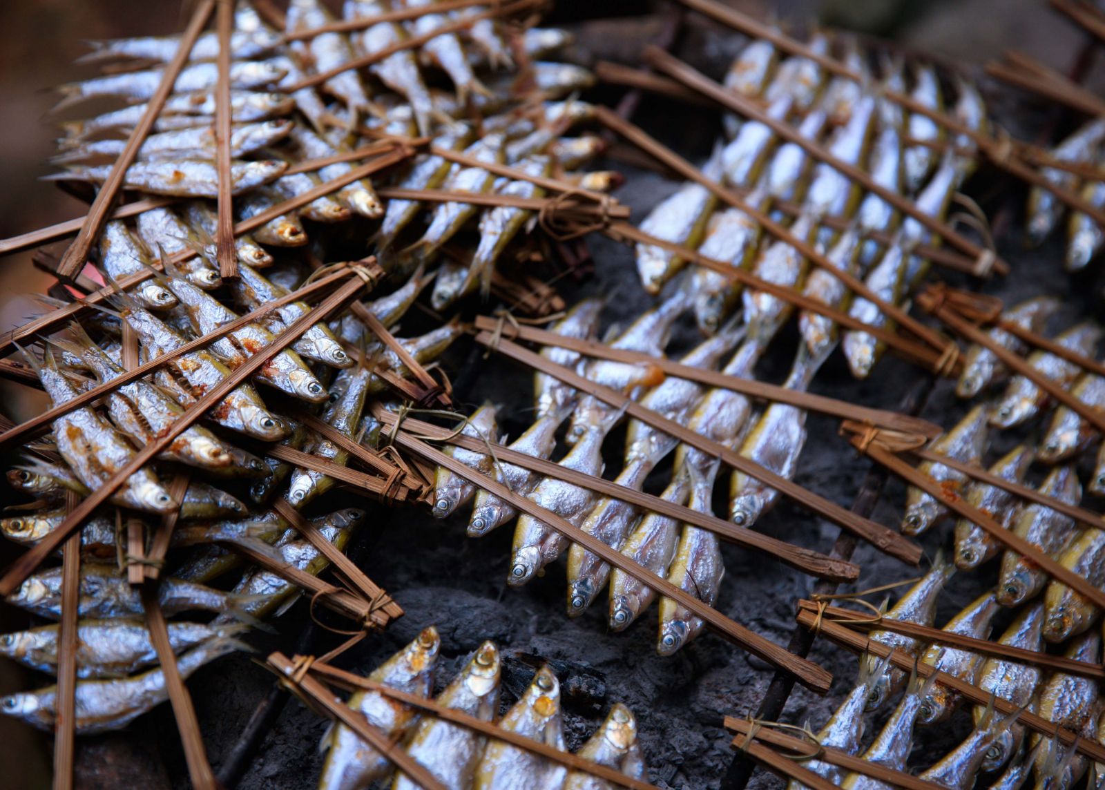 Goby Fish Grilled in Bamboo Tubes