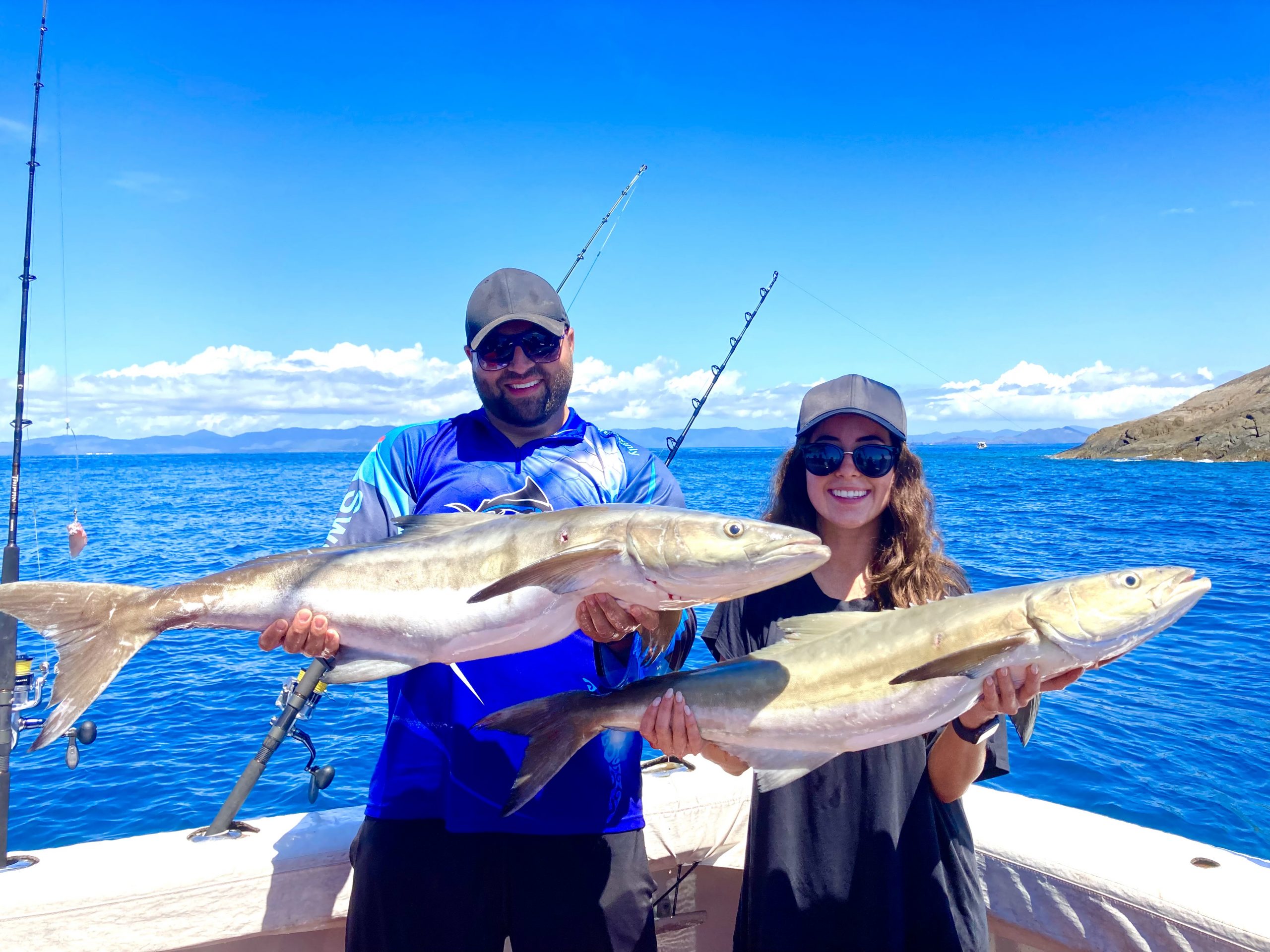 cobia