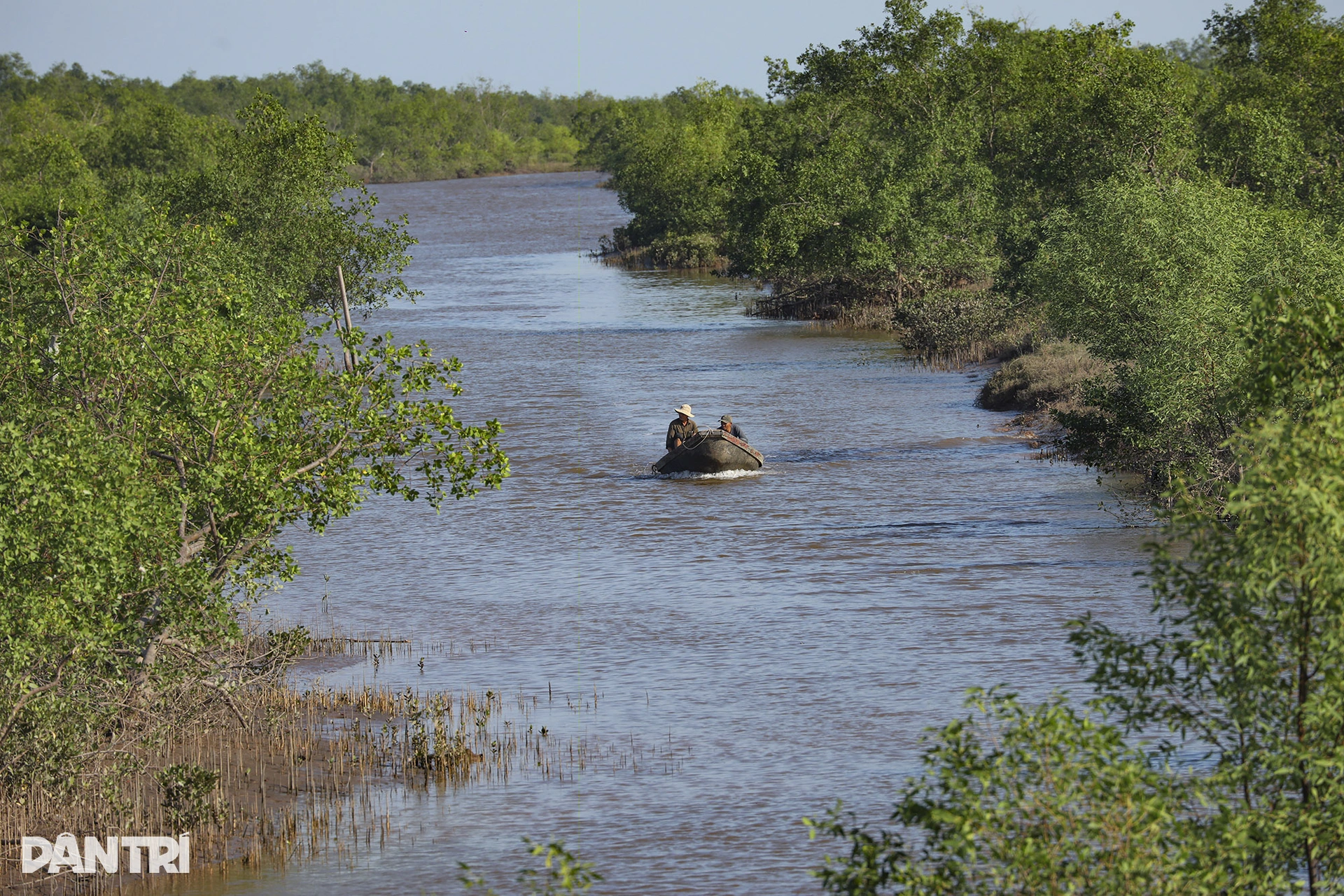 Thuy Truong & Diem Dien Estuaries (Thai Thuy District)