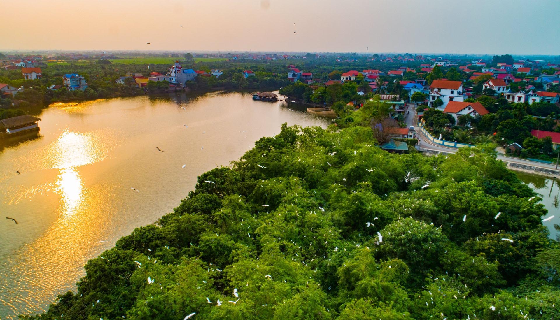 Chi Lang Nam Stork Island: An unmissable eco-tourism destination.