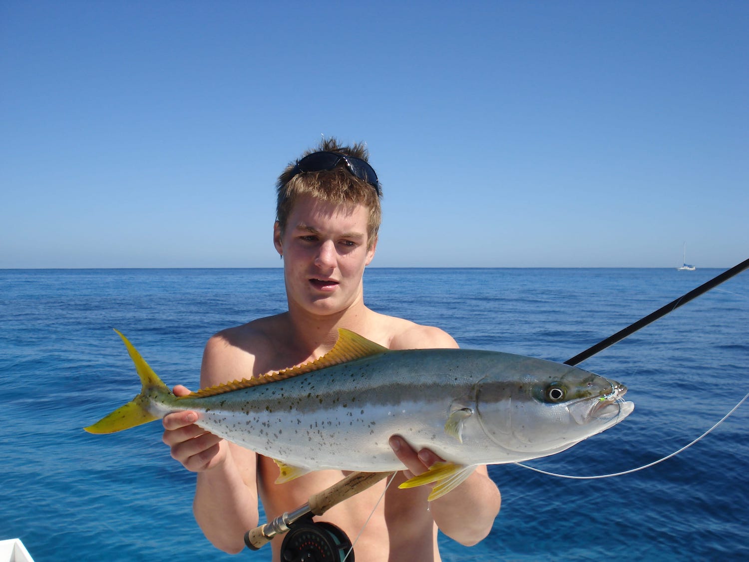 kingfish - vietnam fishing tour
