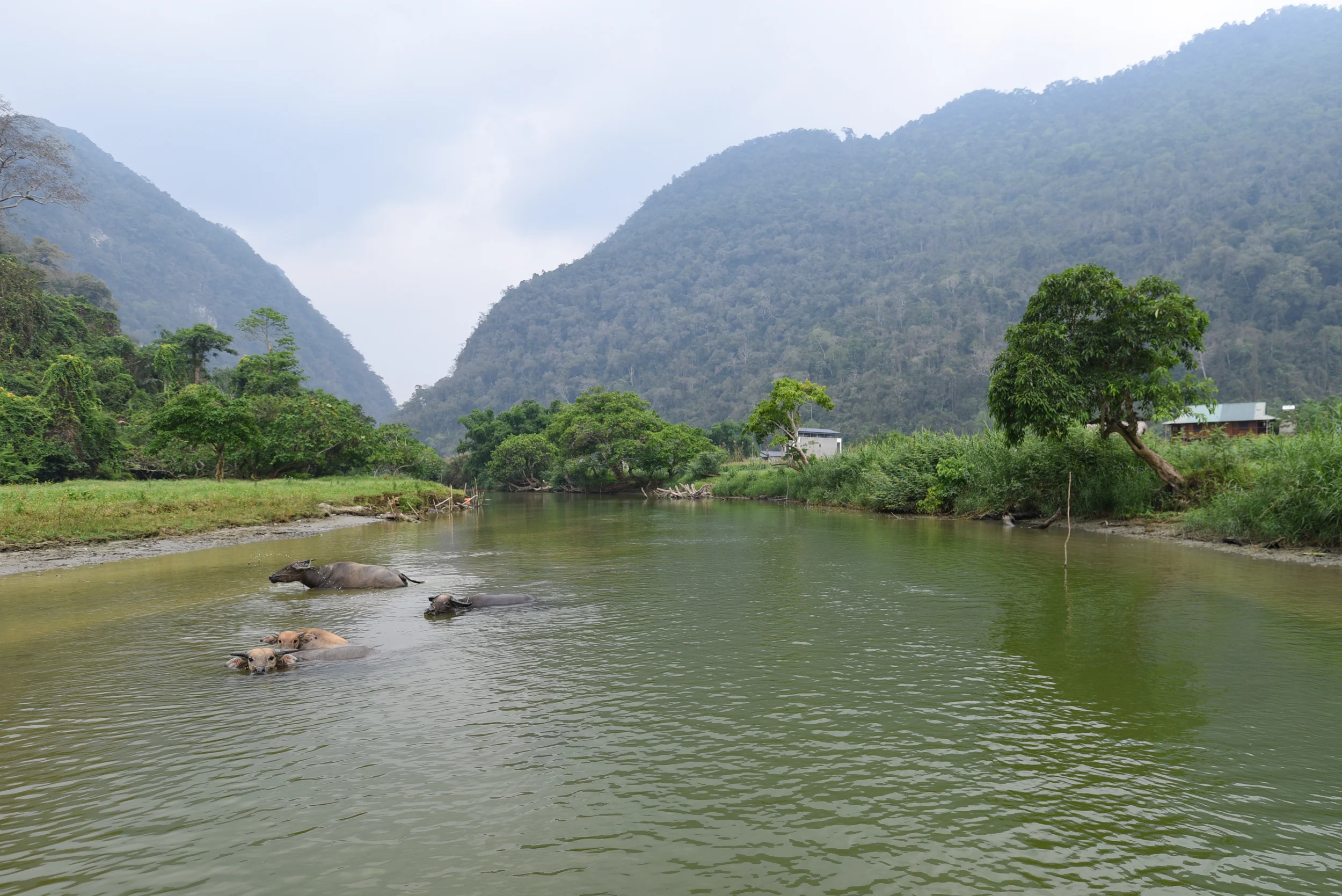 nang-river-bac-kan-province-vietnam-fishing-tours-trips-travelers-anglers