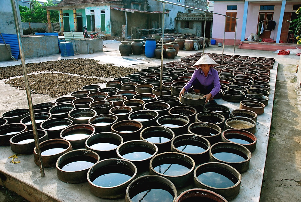 Among the fish sauces of Giao Thuy, Nam Dinh, the Sa Chau variety from Giao Chau Commune is the most renowned. A unique feature of this craft village is that the fish is fermented in earthenware vats and sun-dried under intense heat rather than being cooked; this process yields a rich flavor and a distinctive cockroach-wing-brown color, earning it a place among Vietnam's Top 100 specialties and gifts.