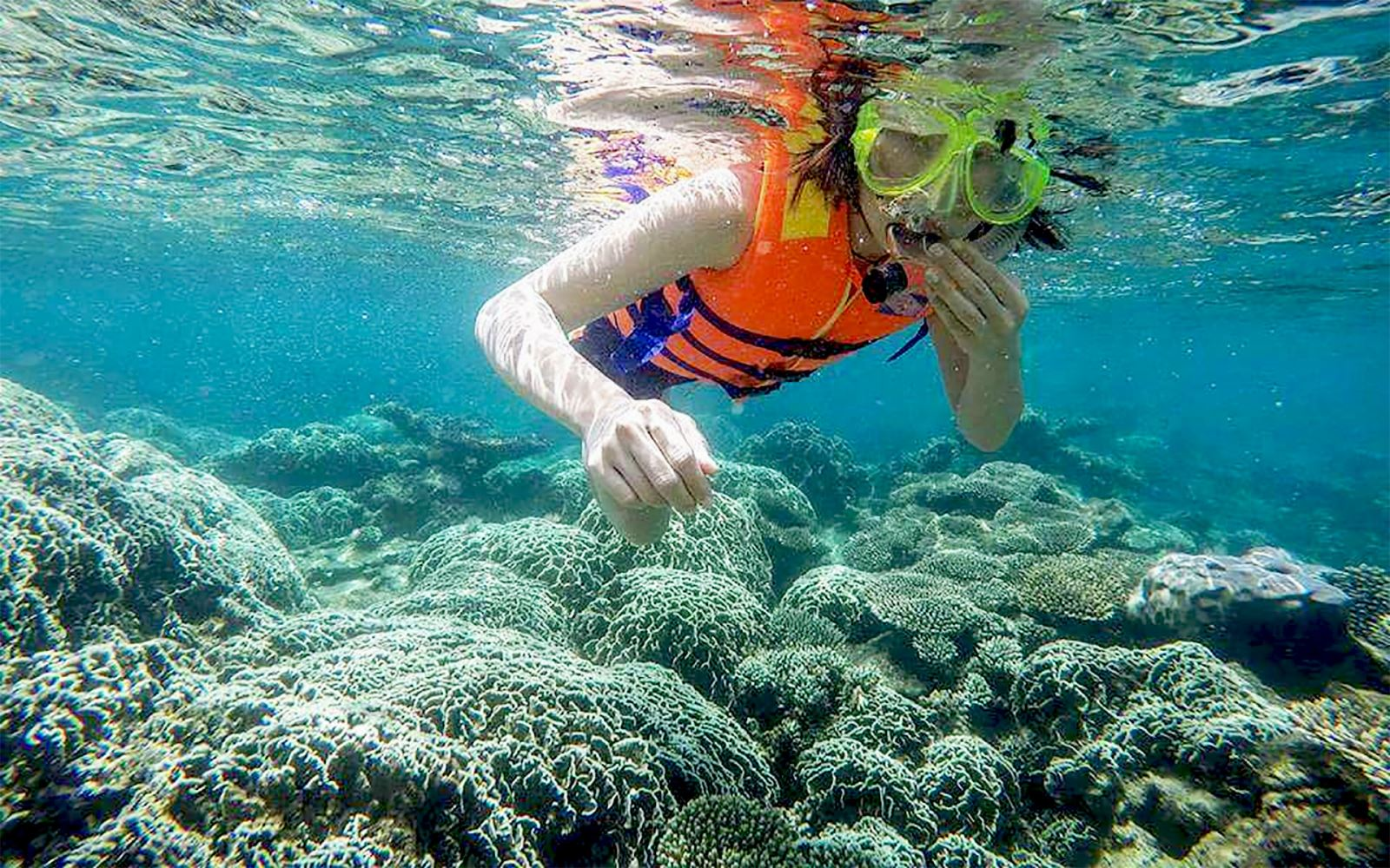 Quietly admiring the coral reefs in Vinh Hy Bay, Ninh Thuan.