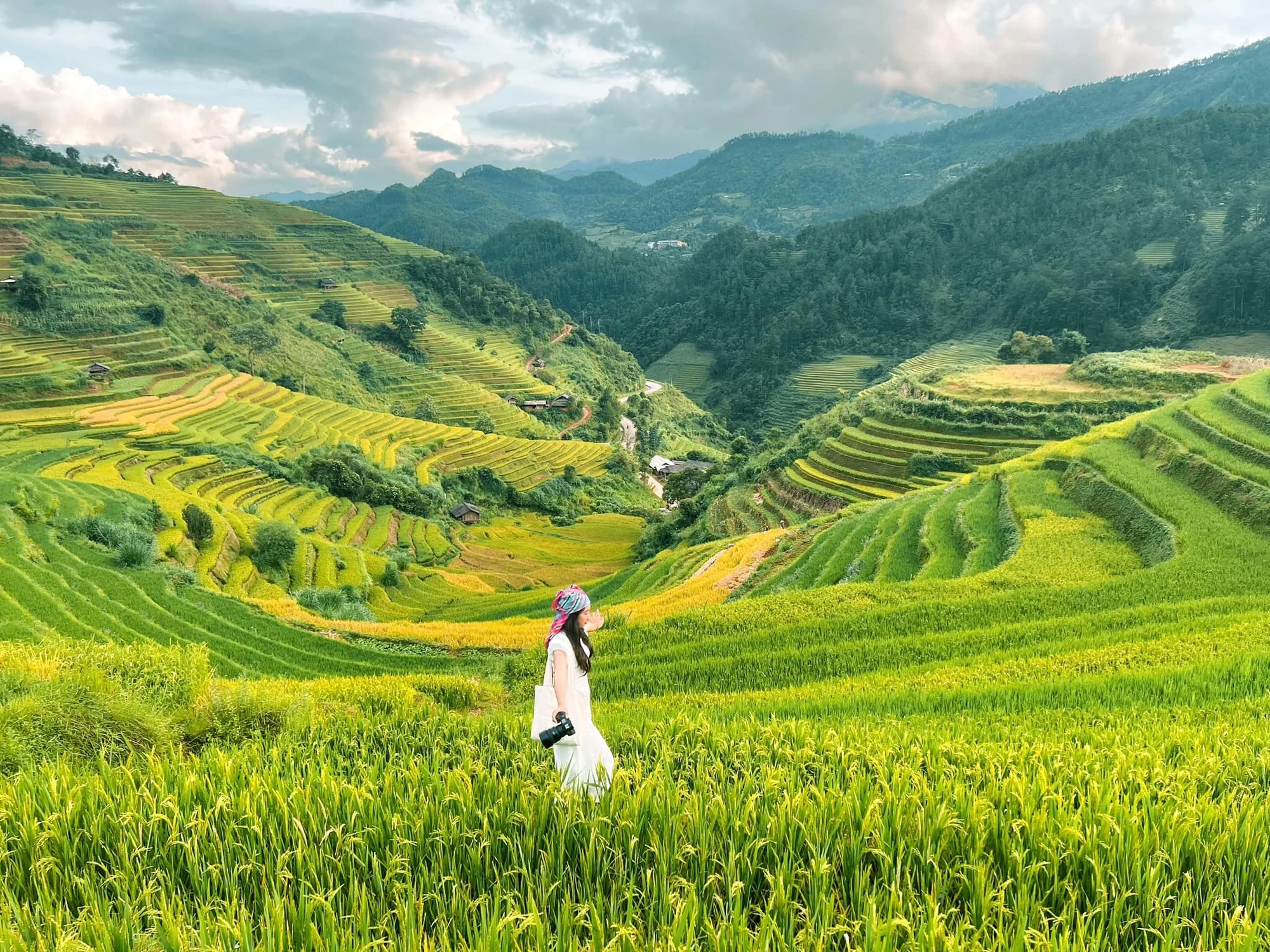 Mu Cang Chai Terraces