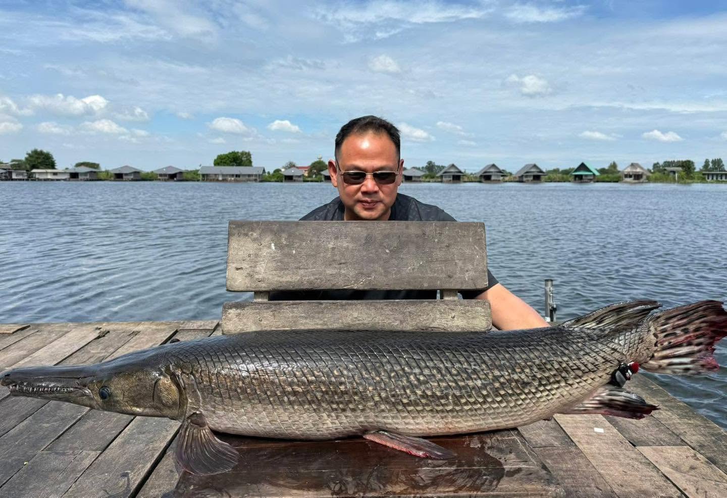 Alligator gar