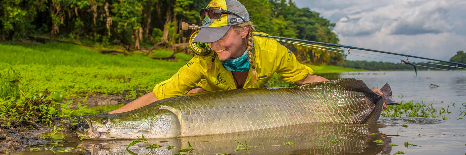 Arapaima