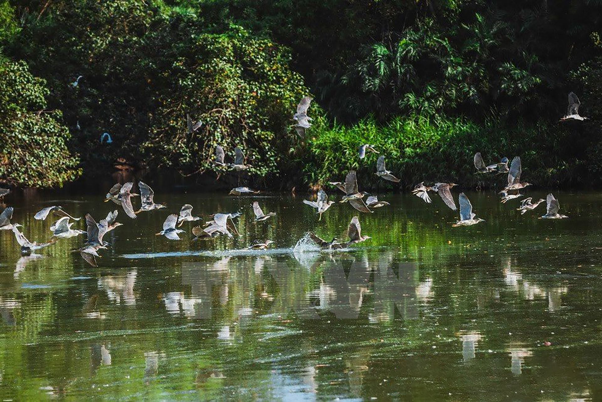 Bac Lieu Bird Sanctuary Waterways