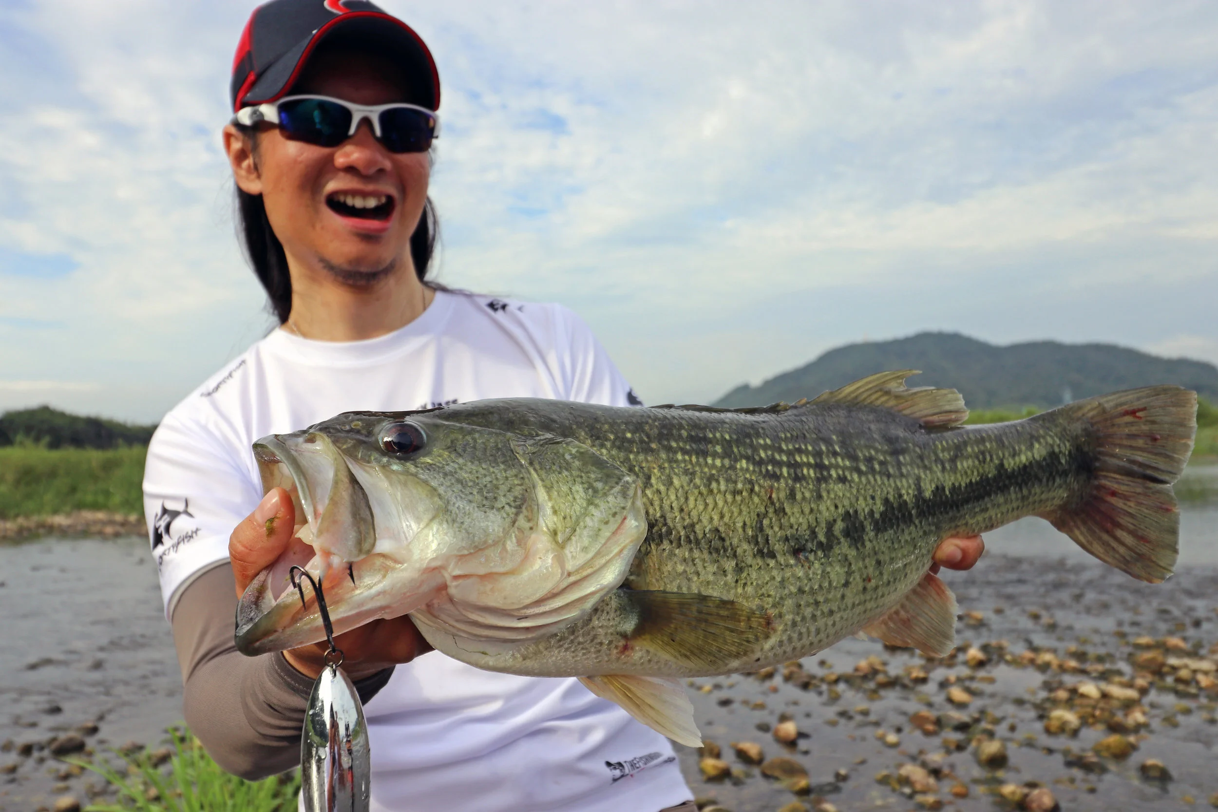 (Barramundi / Asian Sea Bass)