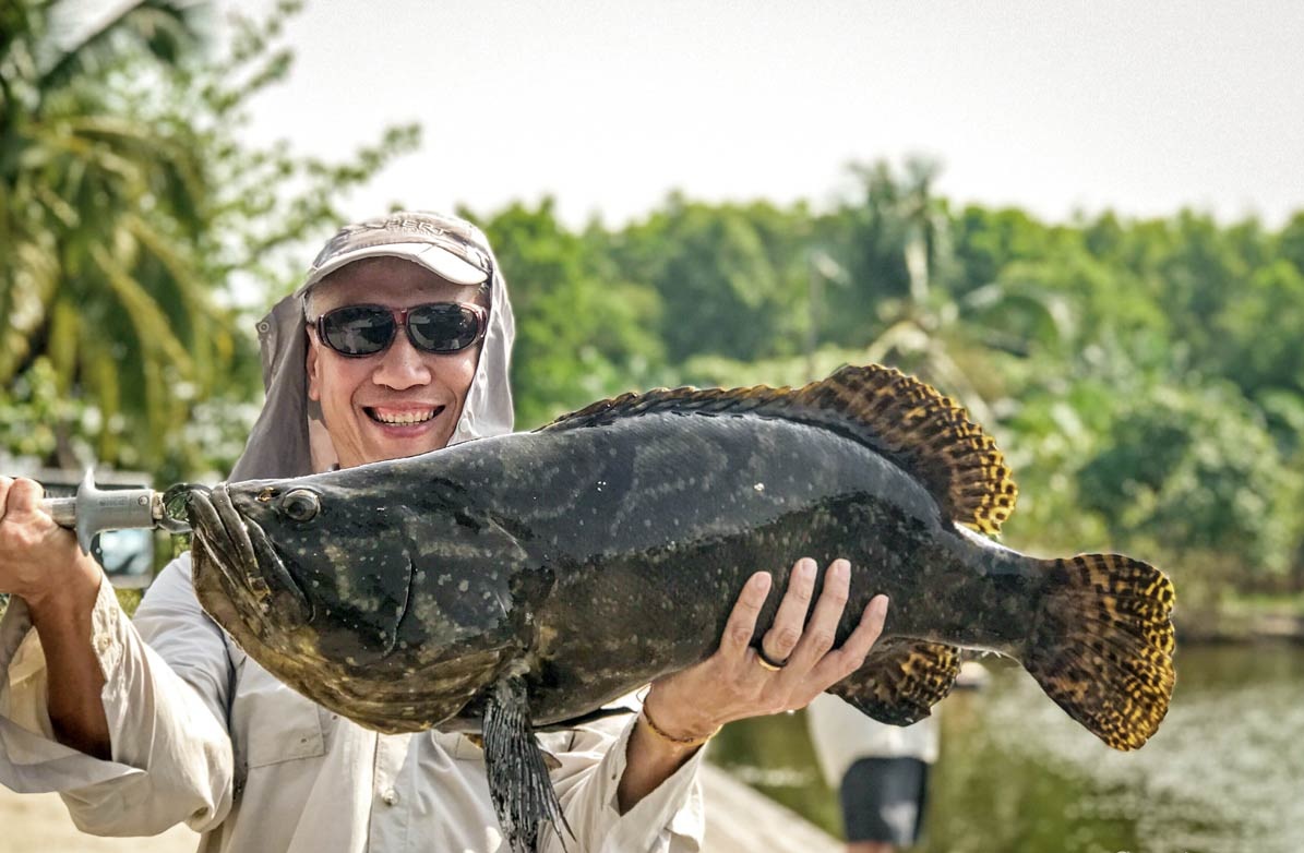 Grouper