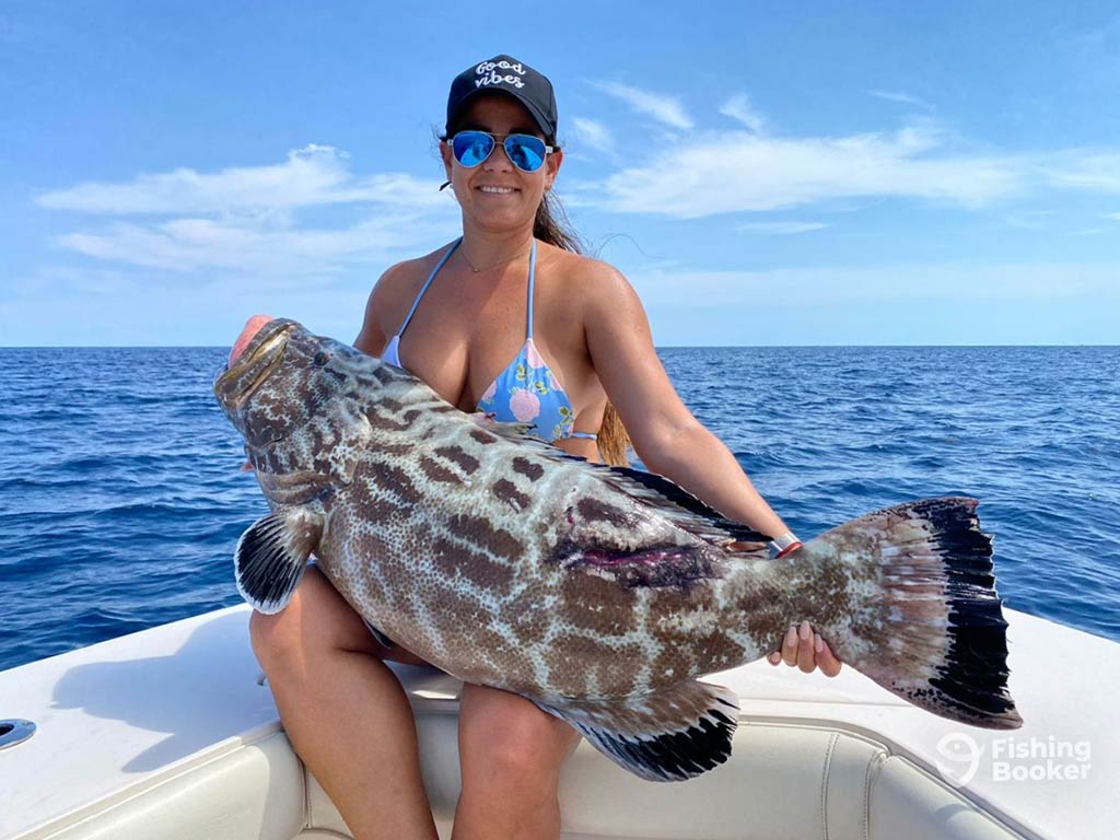 Groupers