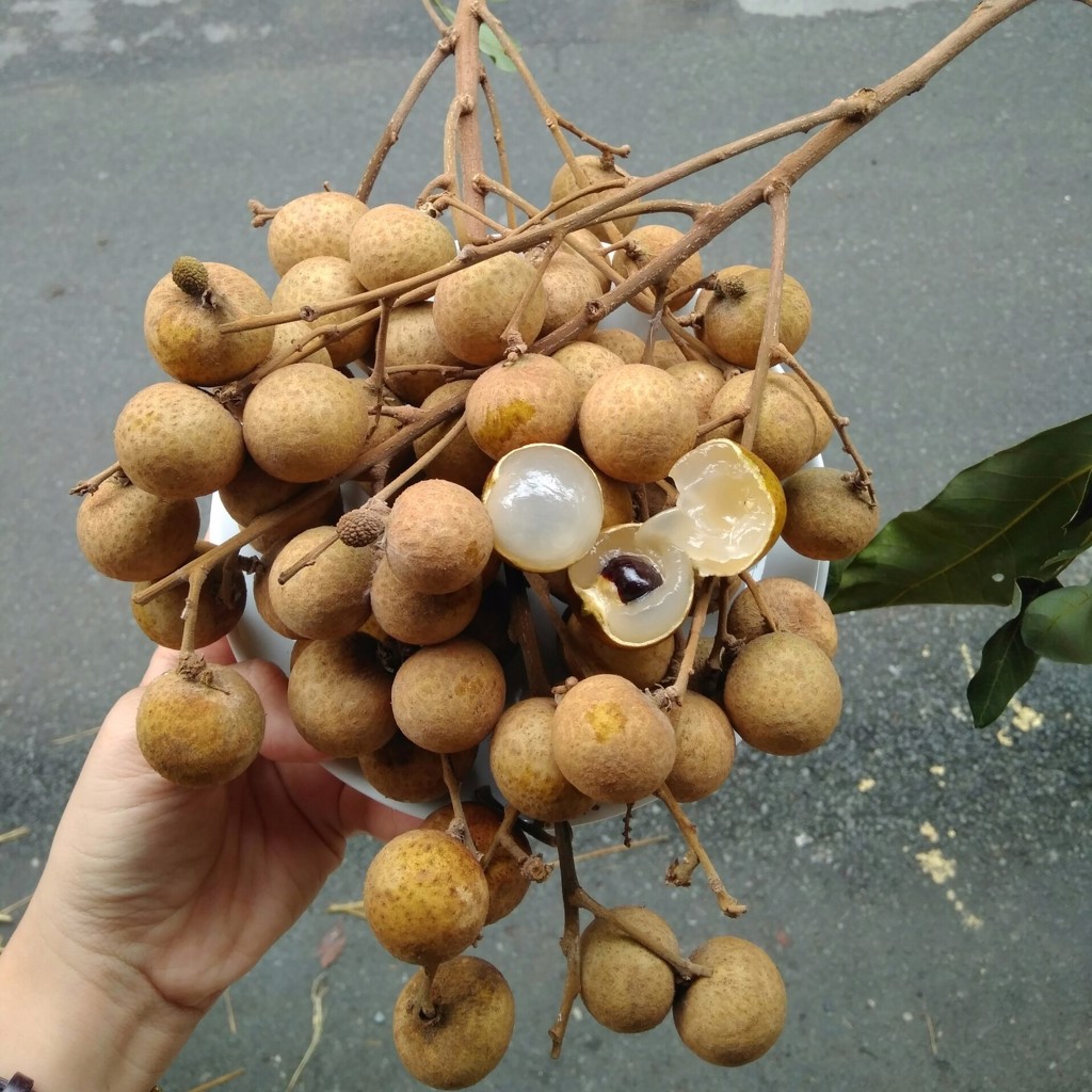 Longan Fruit Products