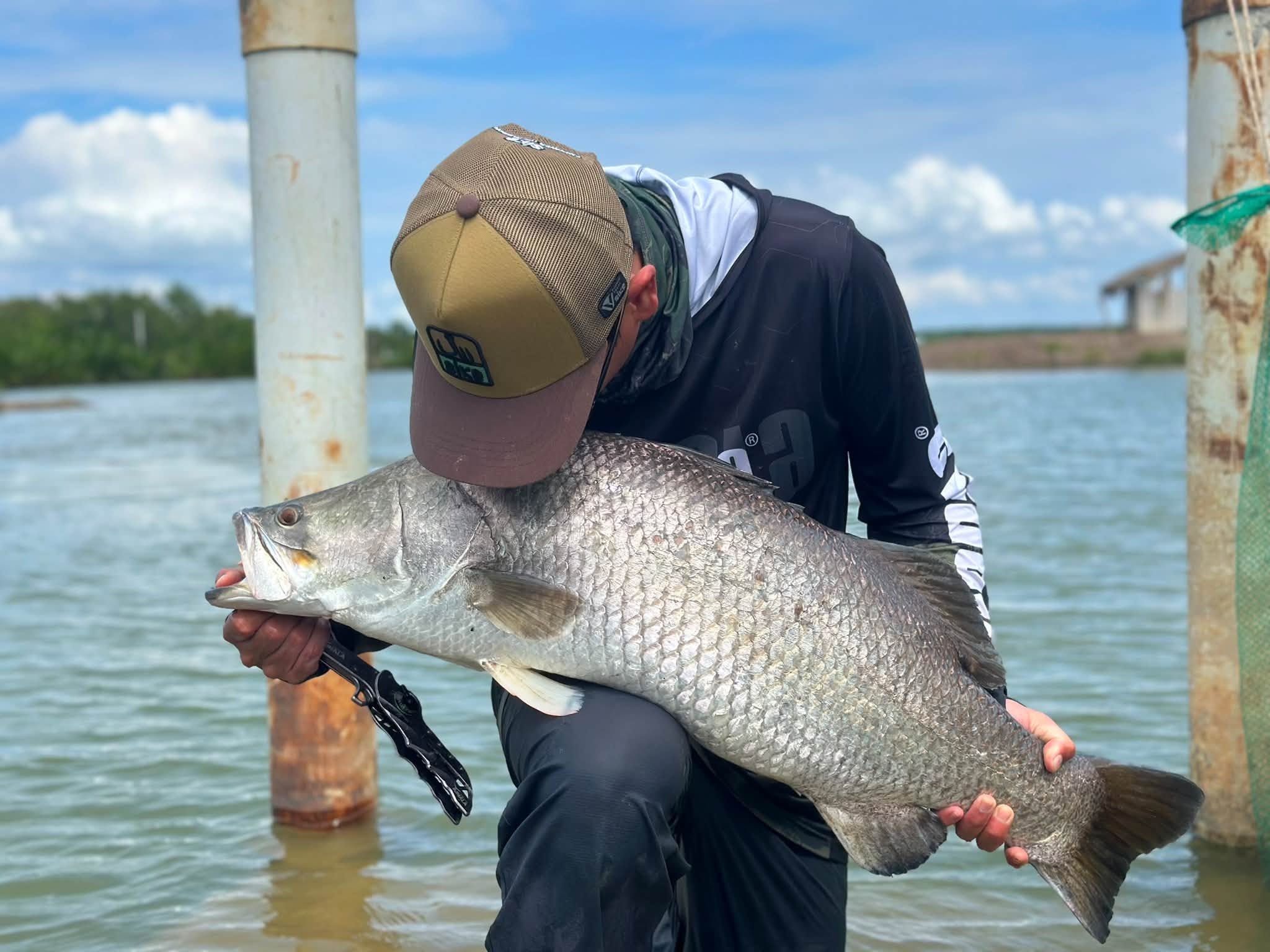 Barramundi (Asian sea bass)
