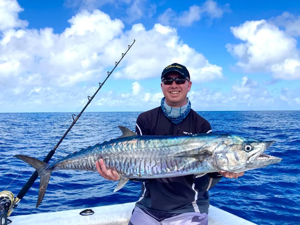 Spanish Mackerel