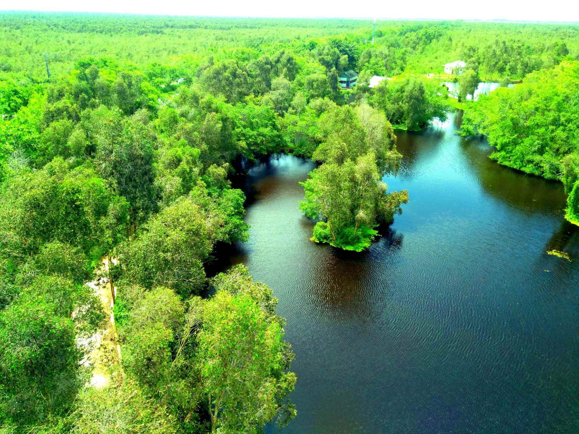 U-Minh-Thuong-National-Park