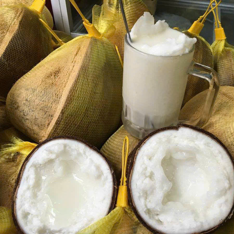 Tra Vinh wax coconut