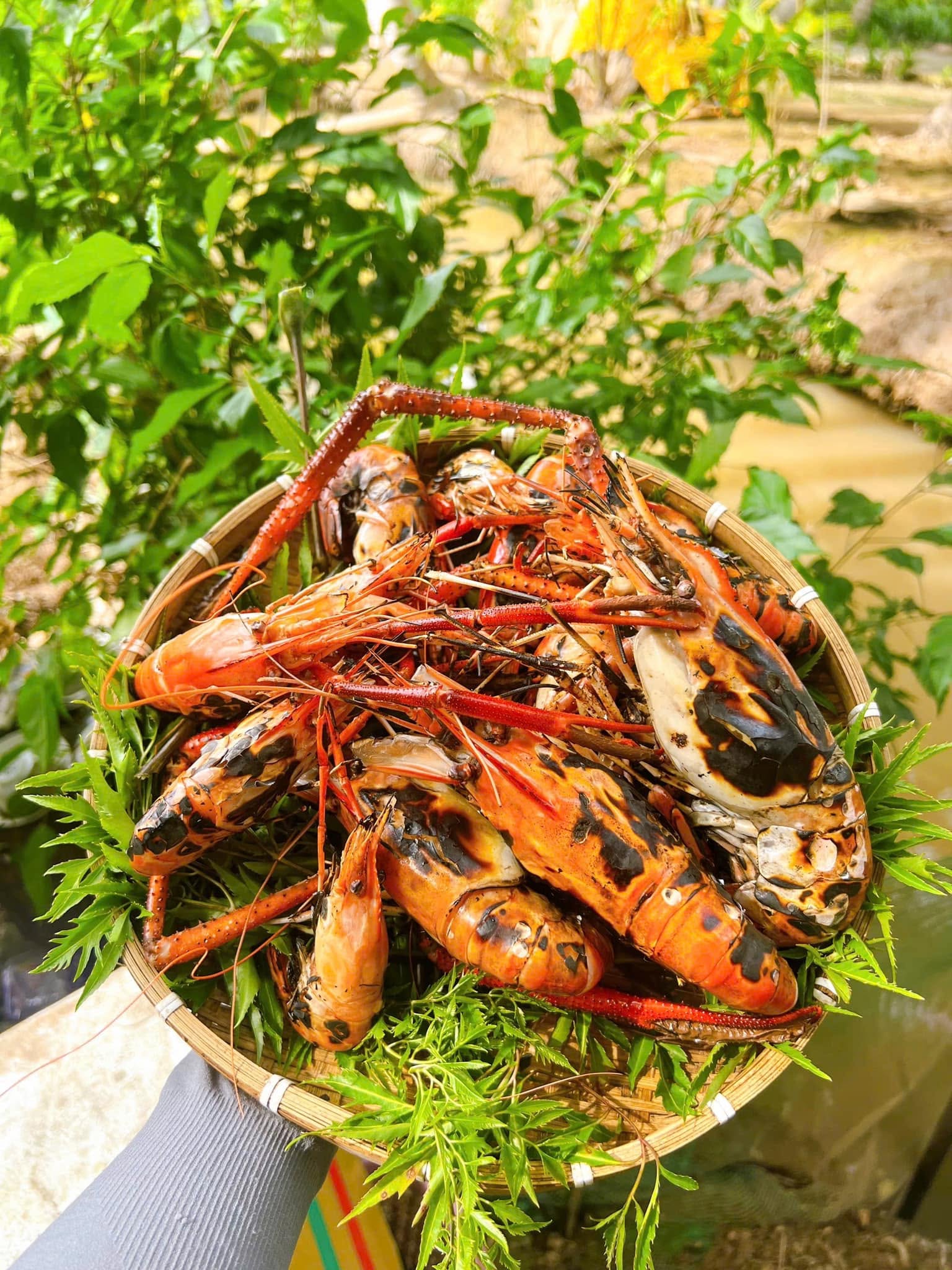 grilled giant river prawns