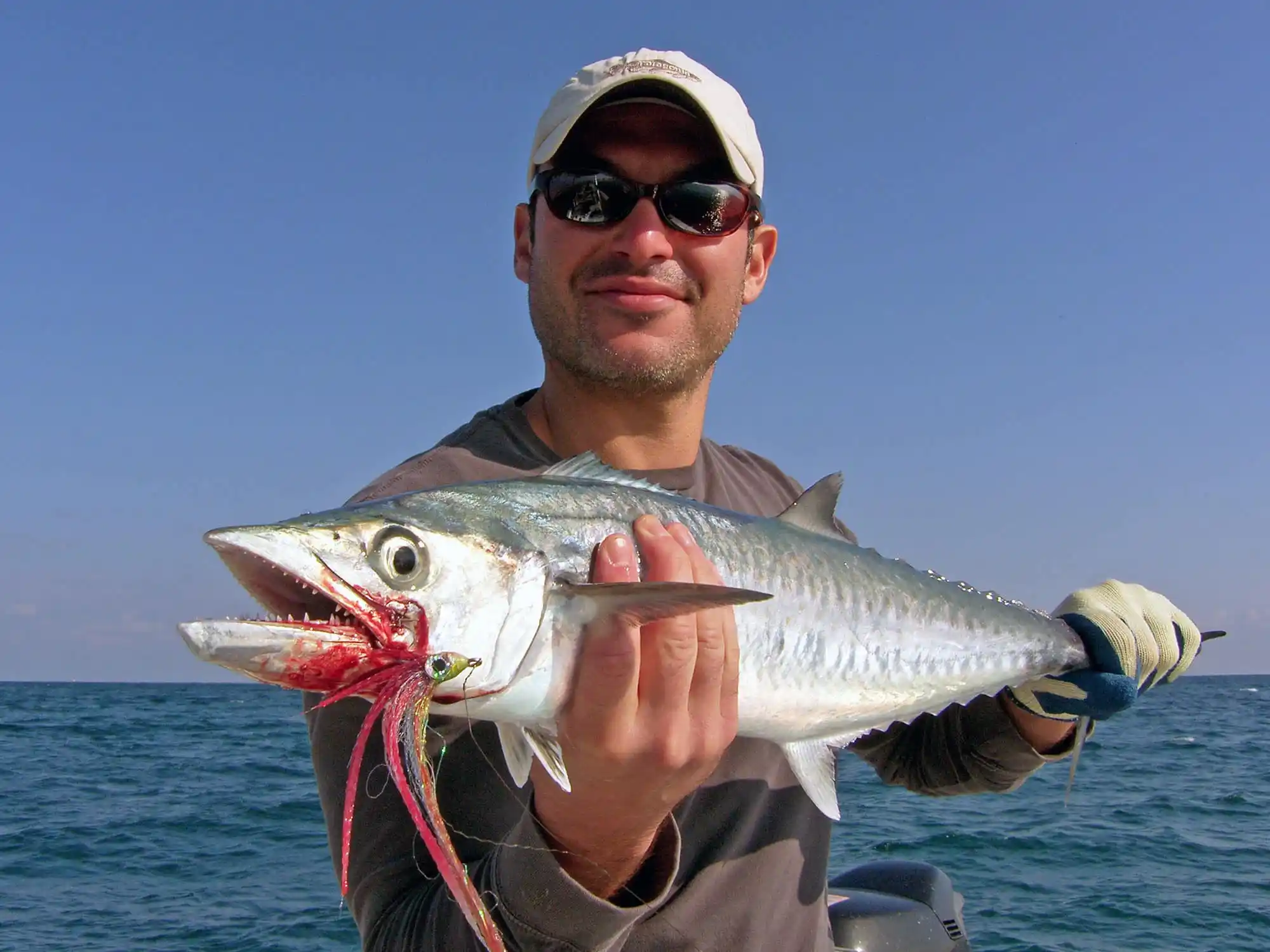 Kingfish