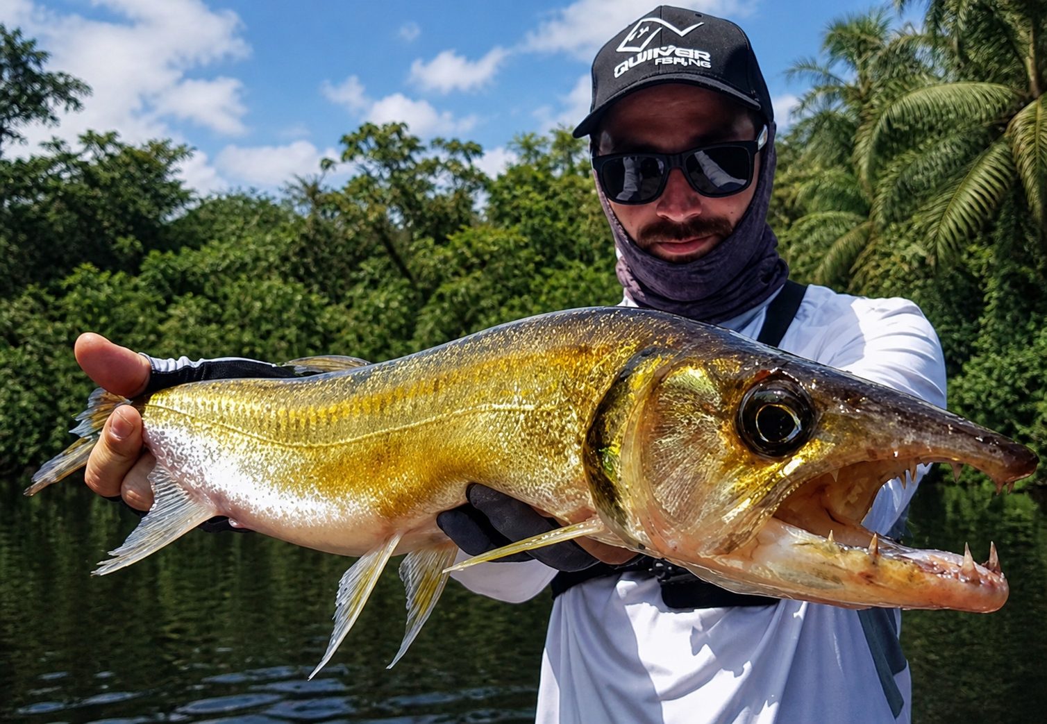 Barracuda