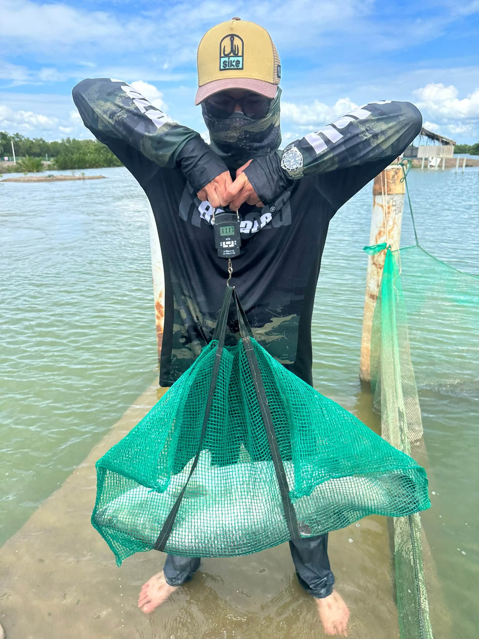 Barramundi