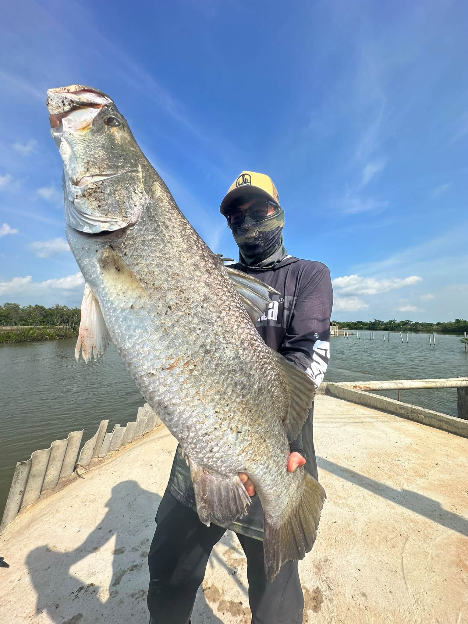 Barramundi