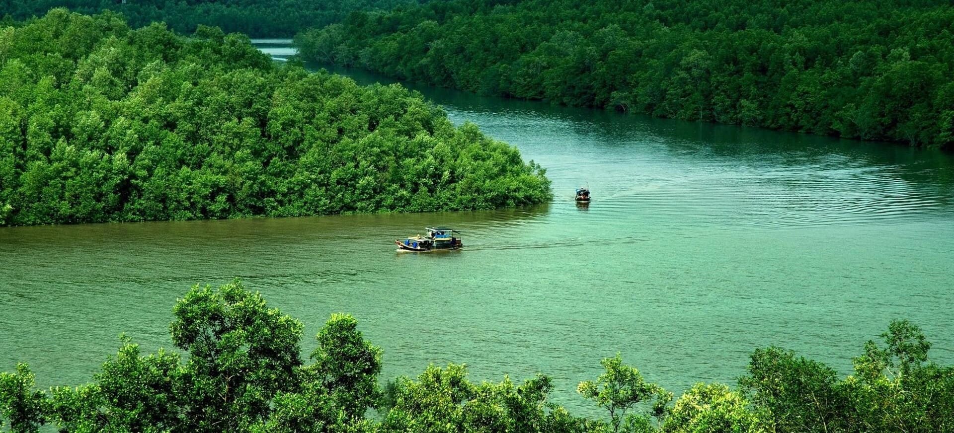 Can Gio Mangrove Forest