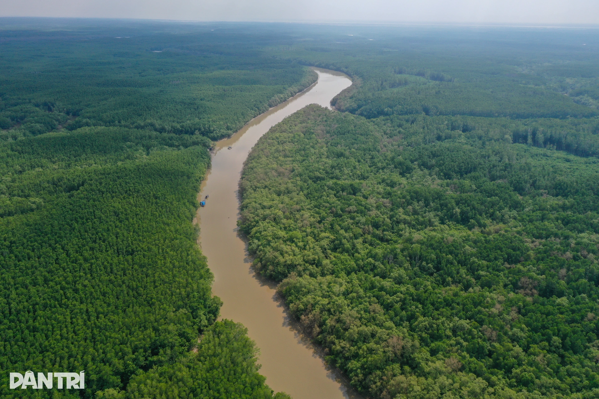 The Can Gio Mangrove Biosphere Reserve is located approximately 40 km southeast of Ho Chi Minh City center and was the first biosphere reserve in Vietnam to be recognized by UNESCO, on January 21, 2000.