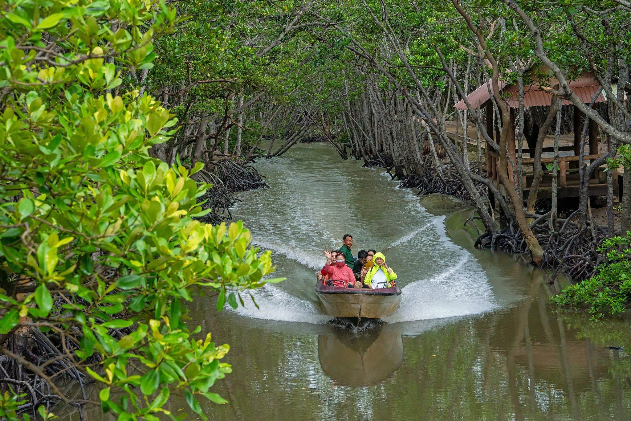Tourists experience a speedboat excursion to explore the Can Gio mangrove forest.