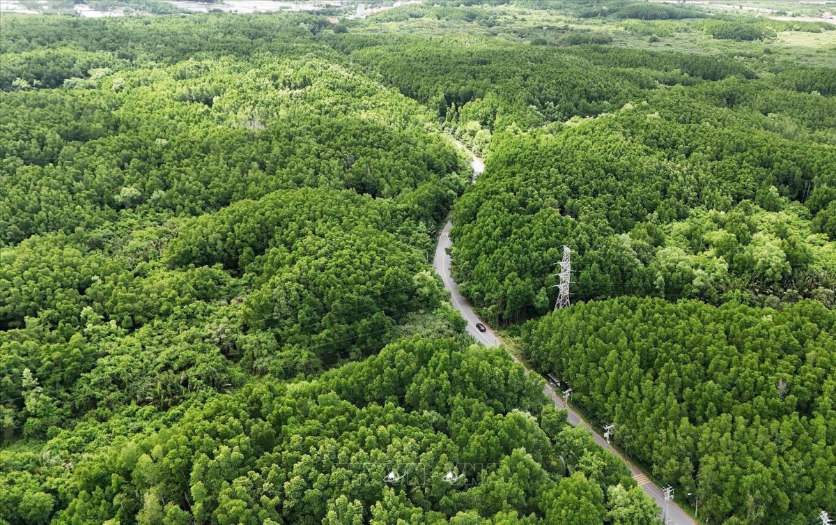 The UNESCO-designated Can Gio Biosphere Reserve