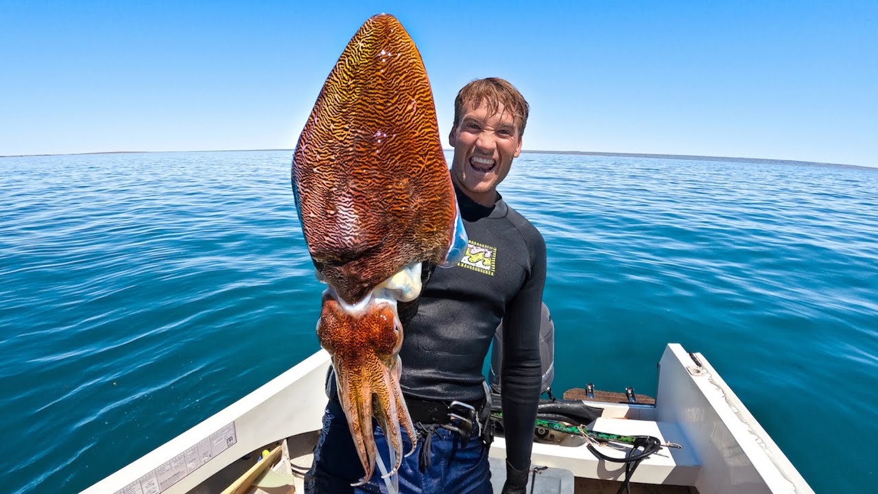 Cuttlefish