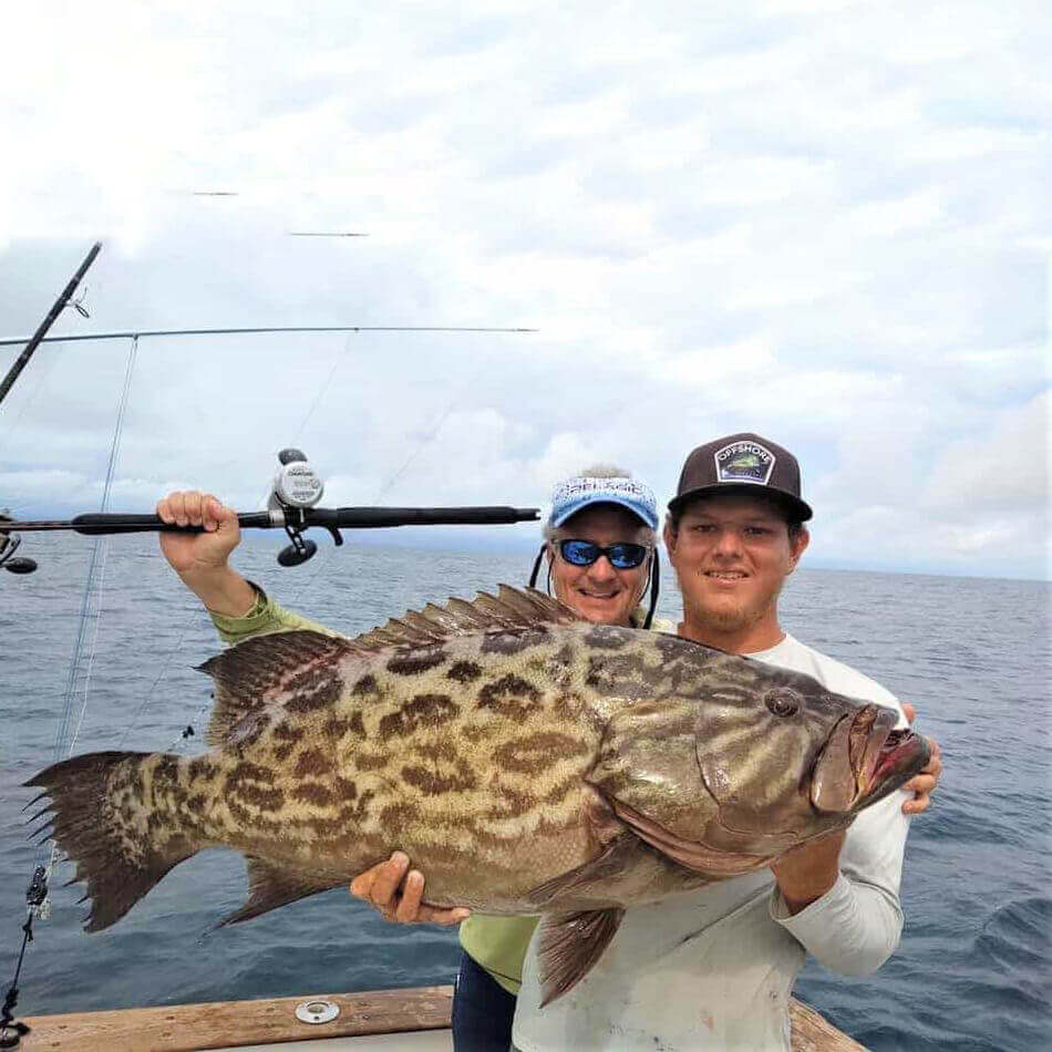 Grouper