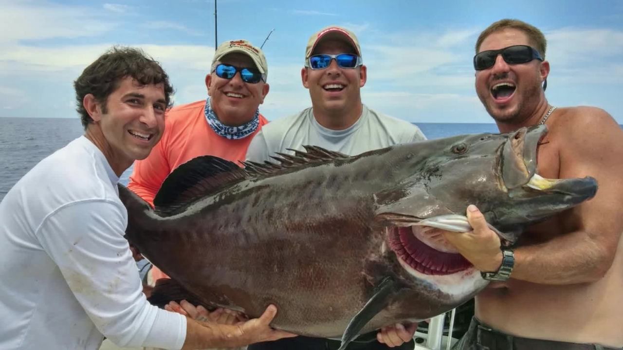 Grouper