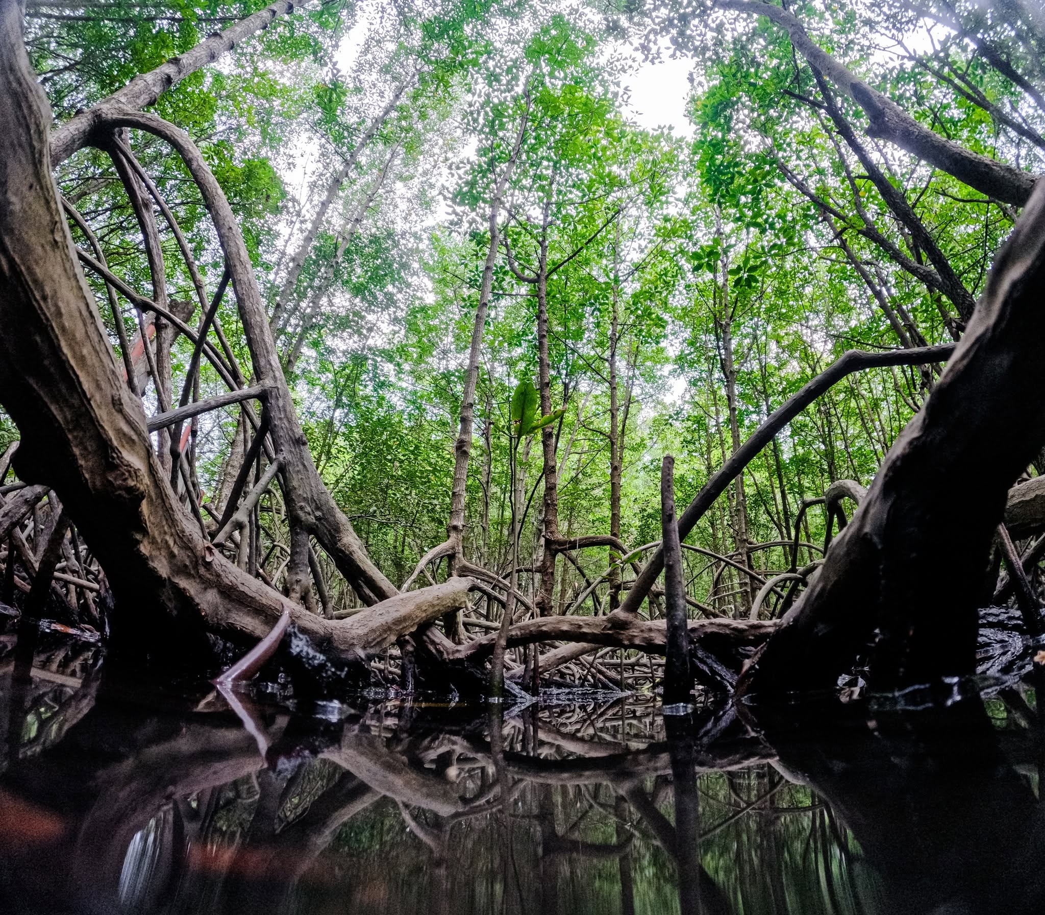 Dan Xay Ecotourism Area