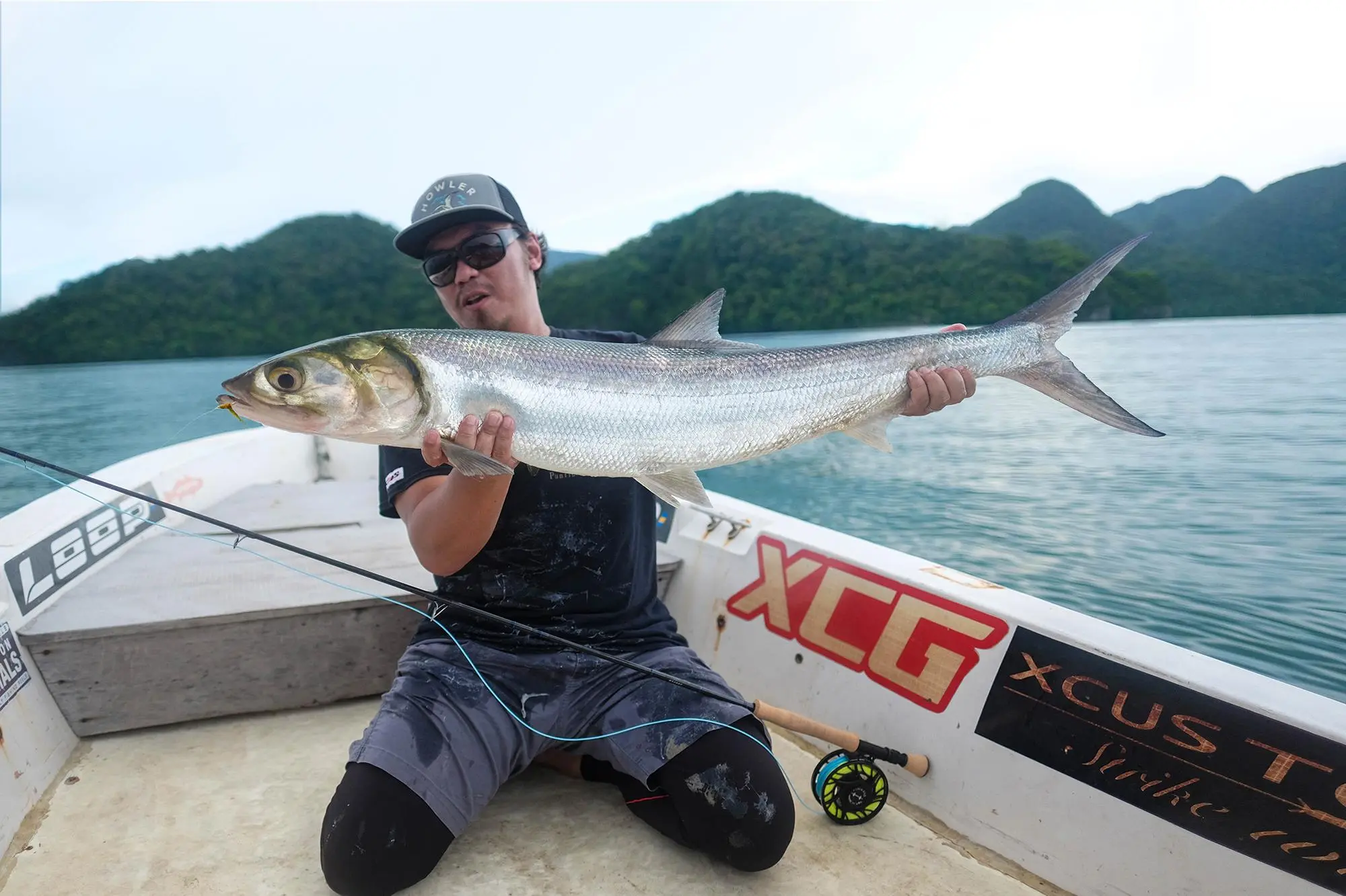 Ladyfish