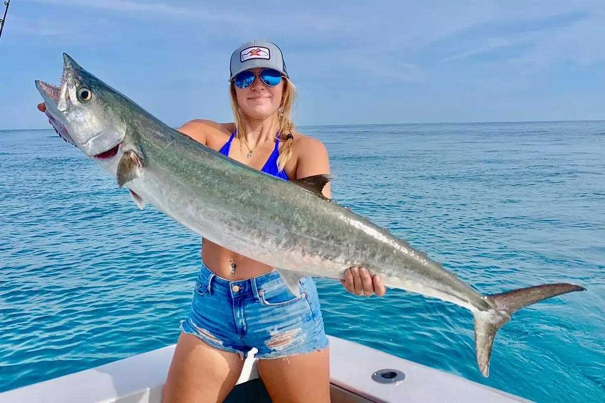 Mackerels