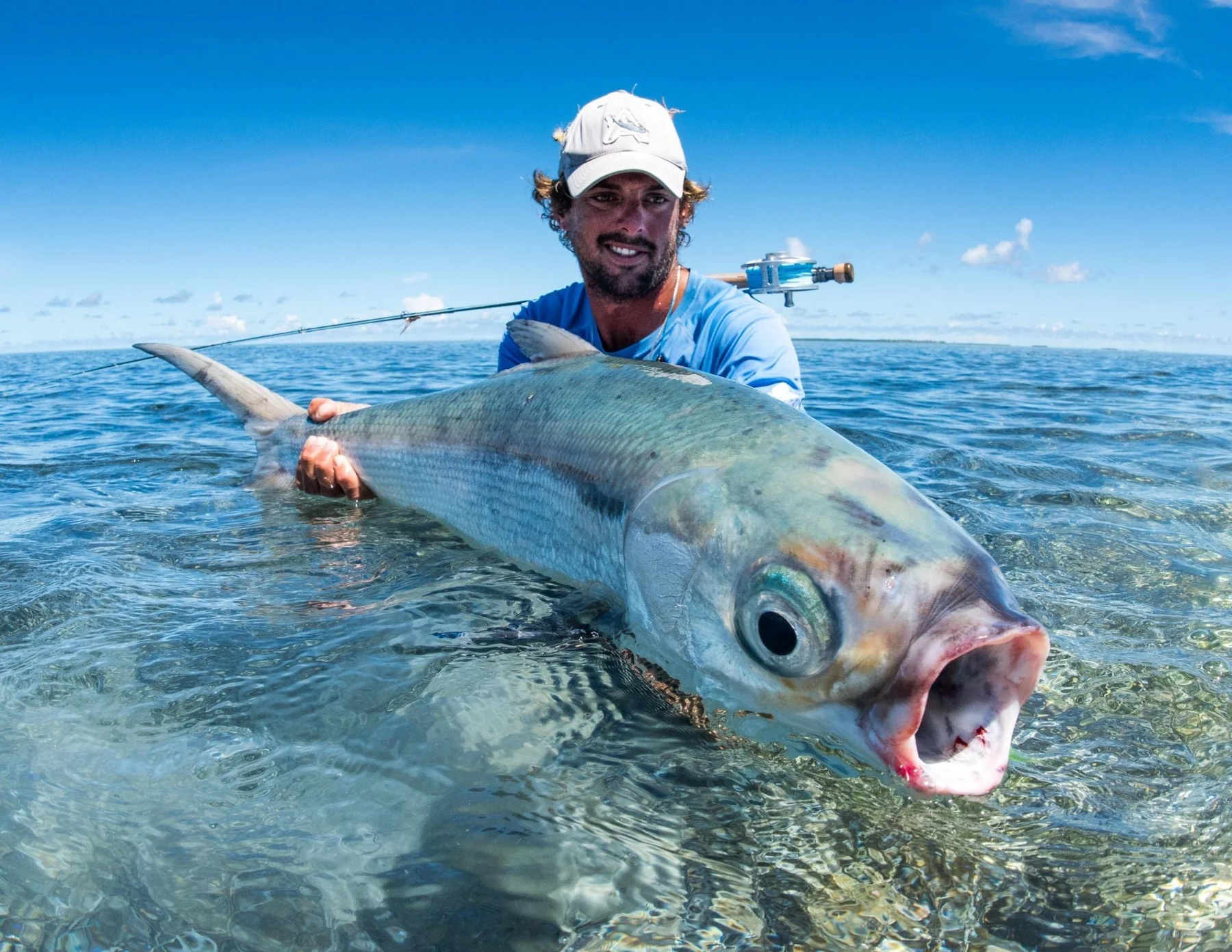 Milkfish