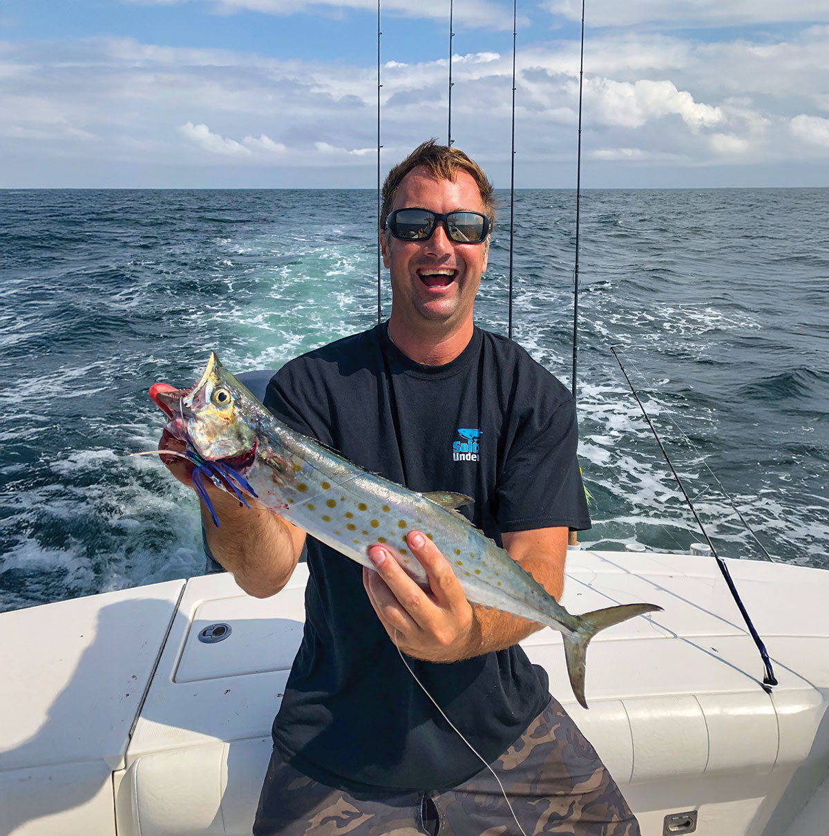 Spanish Mackerel