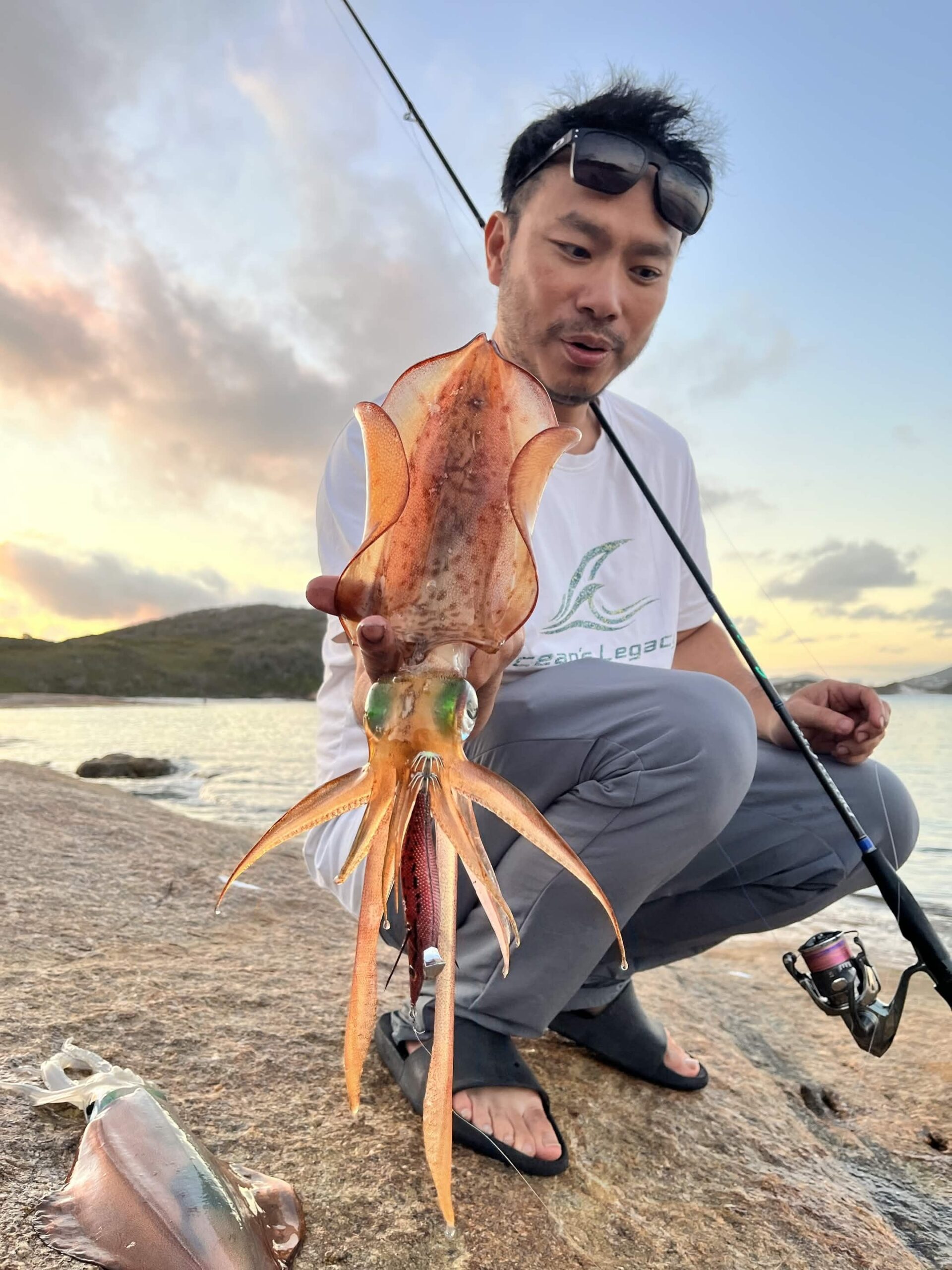 Squid