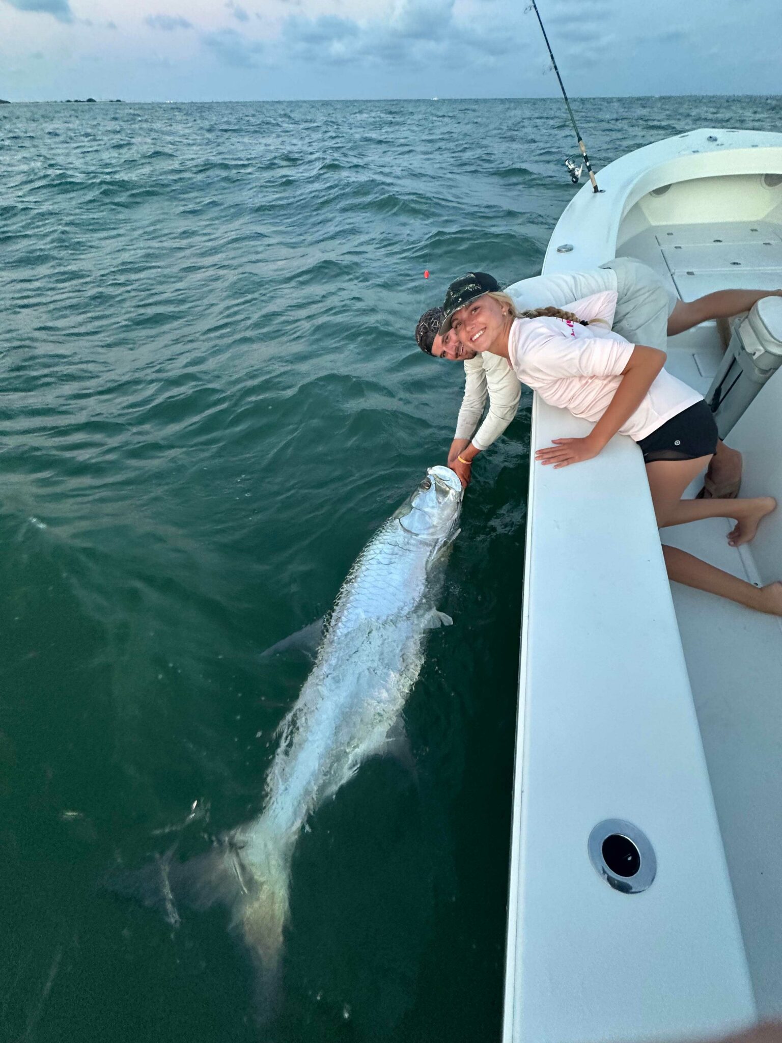 Tarpon