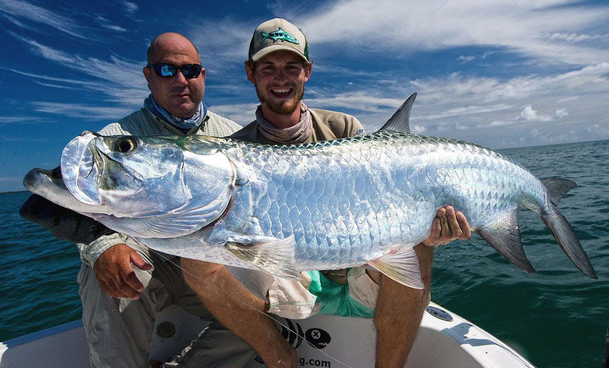 Tarpon