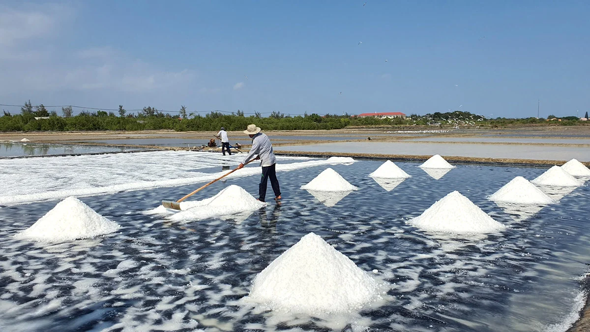 Traditional Salt Fields