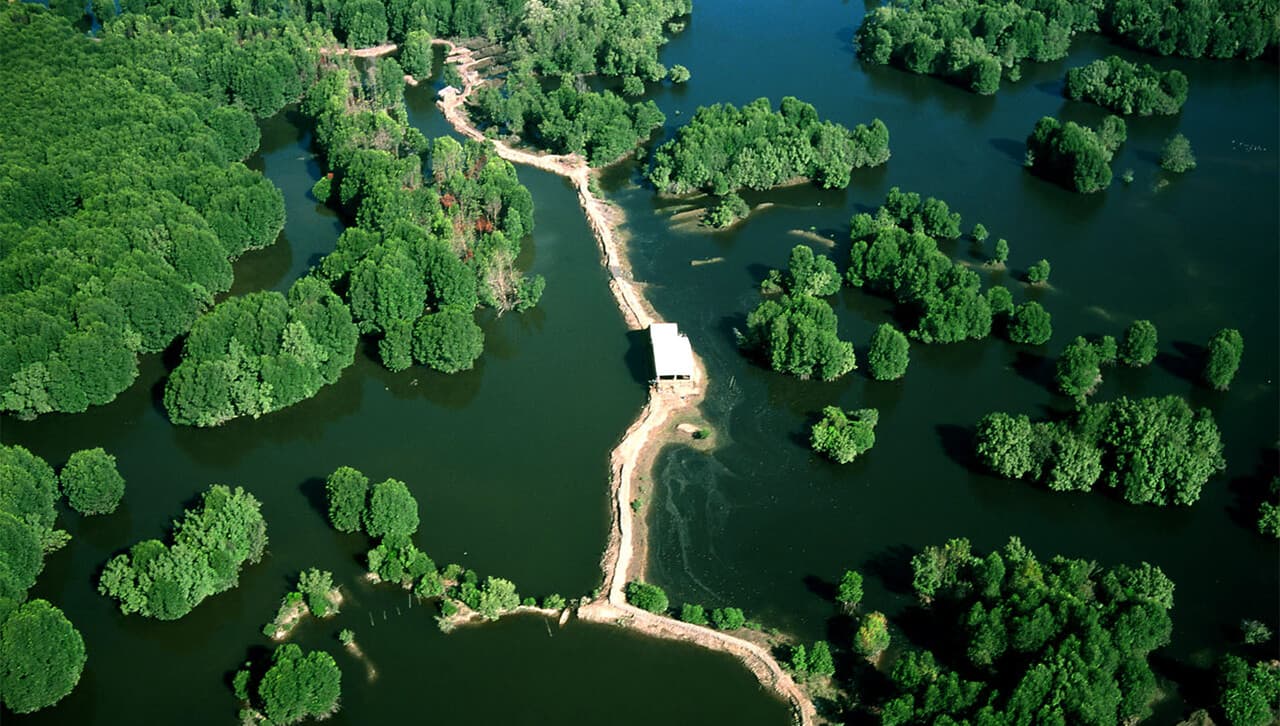 Vam Sat Eco-Park