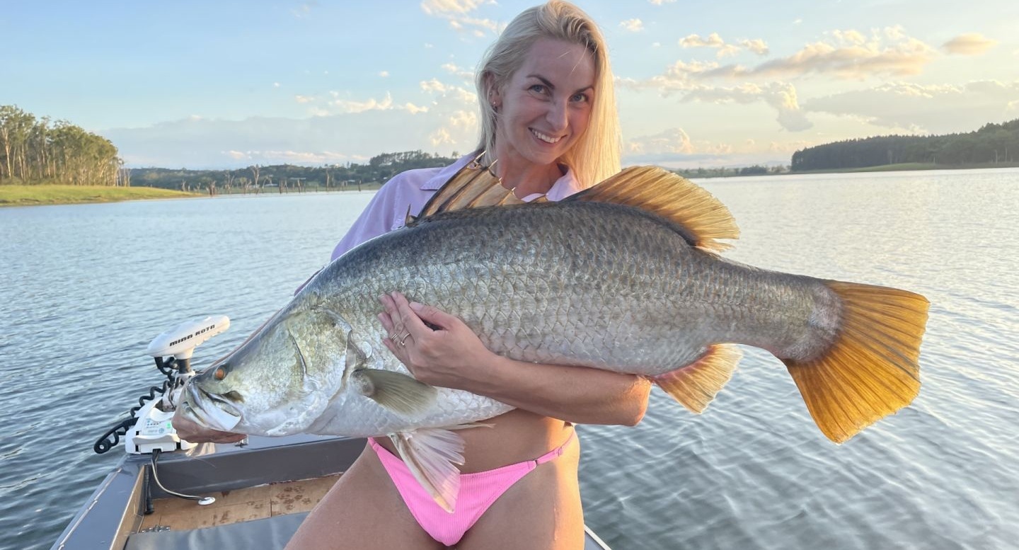 Barramundi
