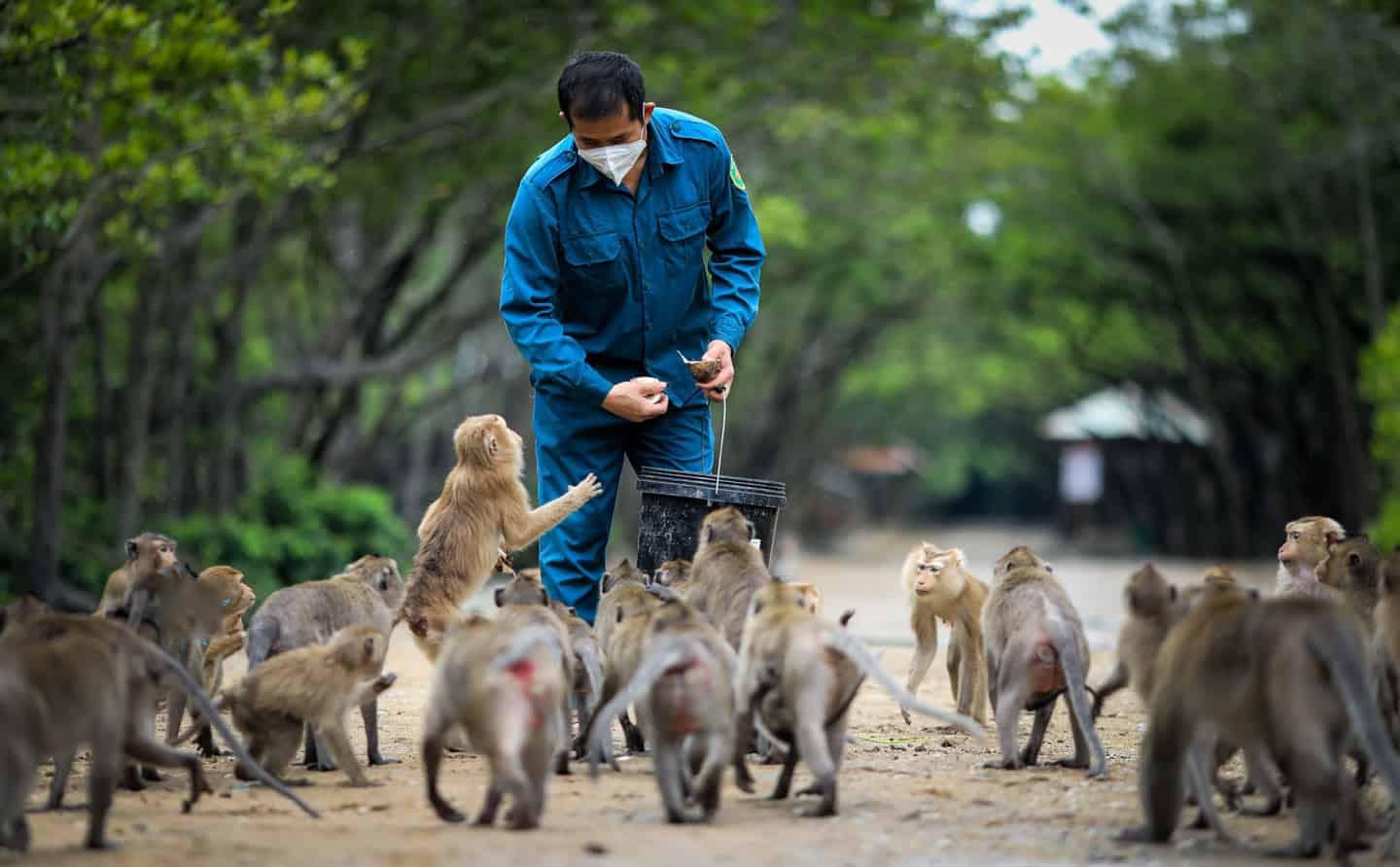 Monkey Island, Can Gio, TP.HCM