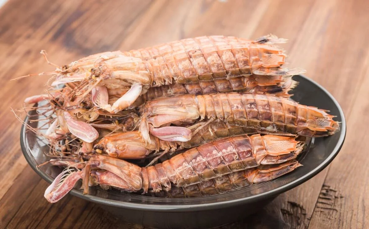 mantis shrimp